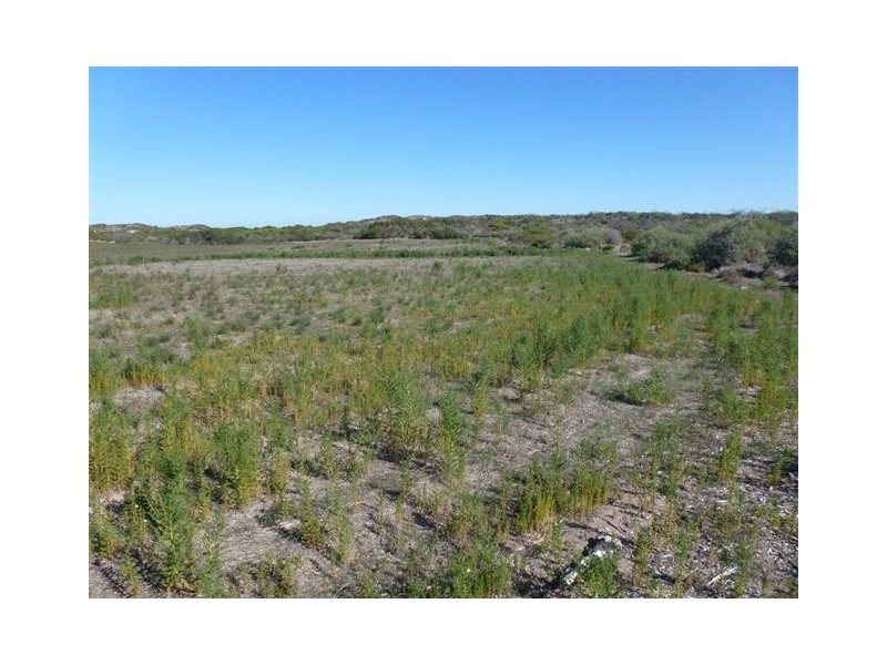 Lot 110 African Reef Boulevard, Greenough WA 6532