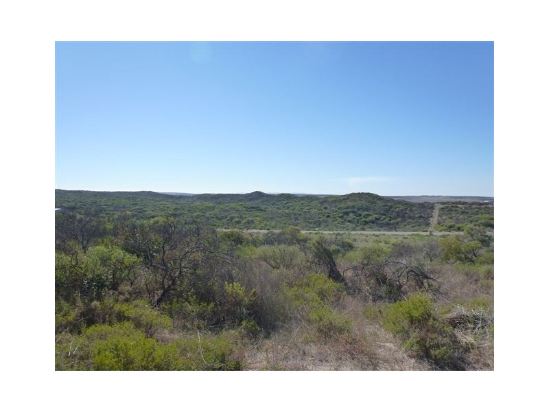 Lot 114 African Reef Boulevard, Greenough WA 6532
