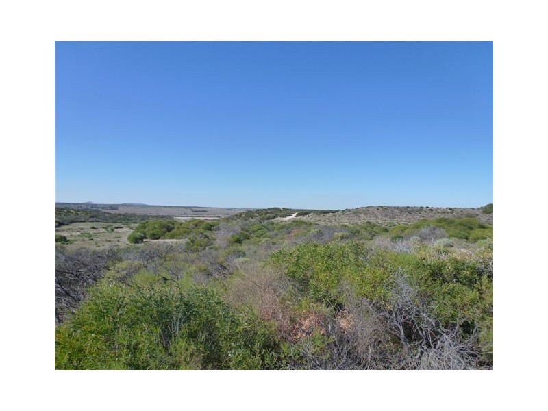 Lot 114 African Reef Boulevard, Greenough WA 6532