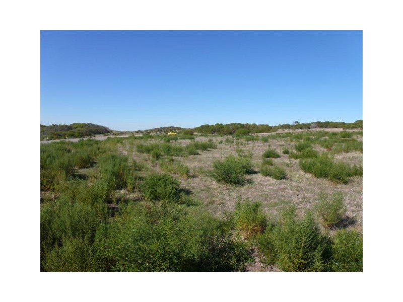 Lot 114 African Reef Boulevard, Greenough WA 6532