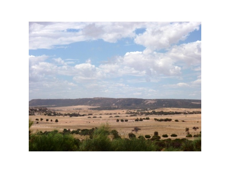 244 Redcliffe Concourse, White Peak WA 6532