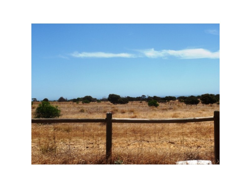 244 Redcliffe Concourse, White Peak WA 6532