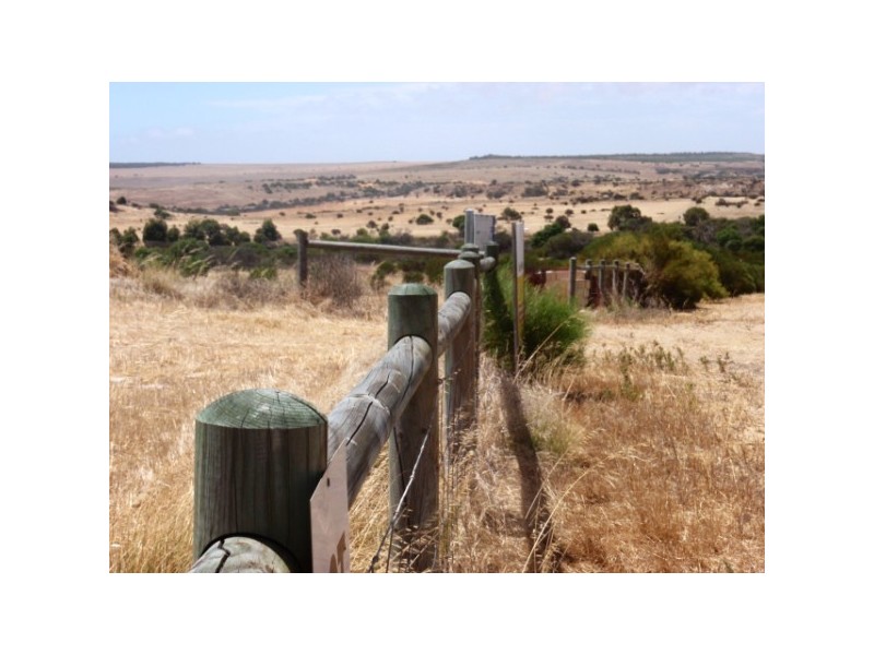 244 Redcliffe Concourse, White Peak WA 6532