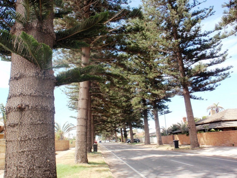 118 Fitzgerald Street, Beachlands WA 6530