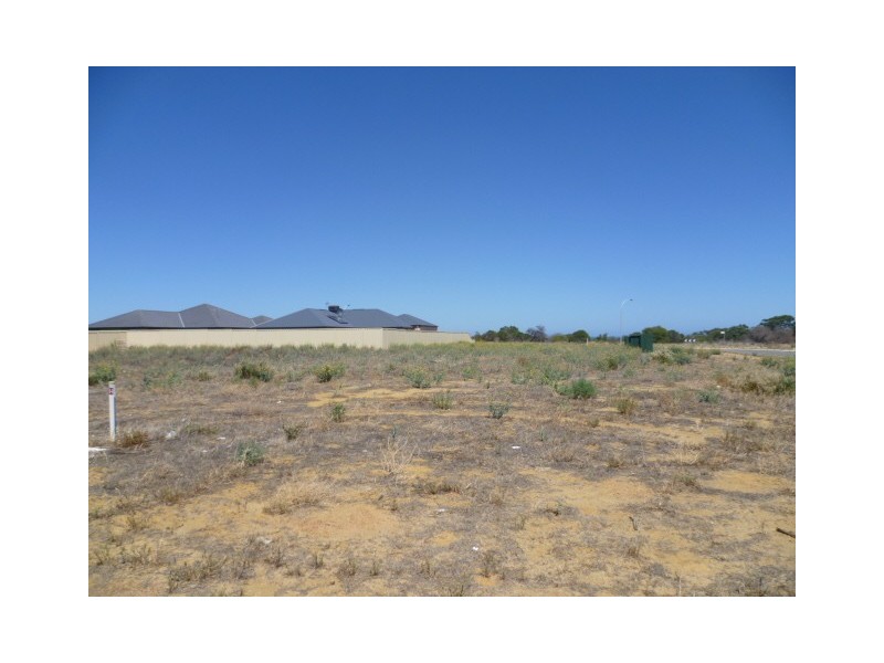 17 Wahn Avenue, Waggrakine WA 6530