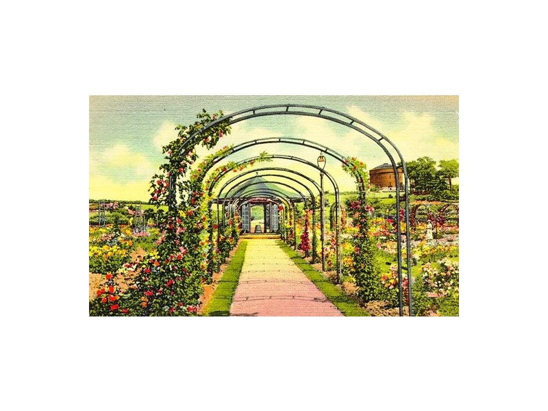 Lot 484 Myrtle Road, Strathalbyn WA 6530