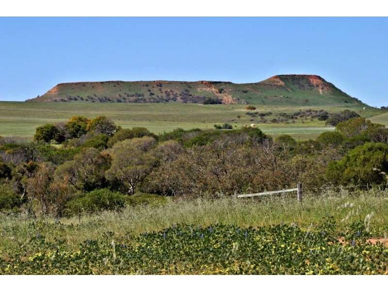 Lot 484 Myrtle Road, Strathalbyn WA 6530