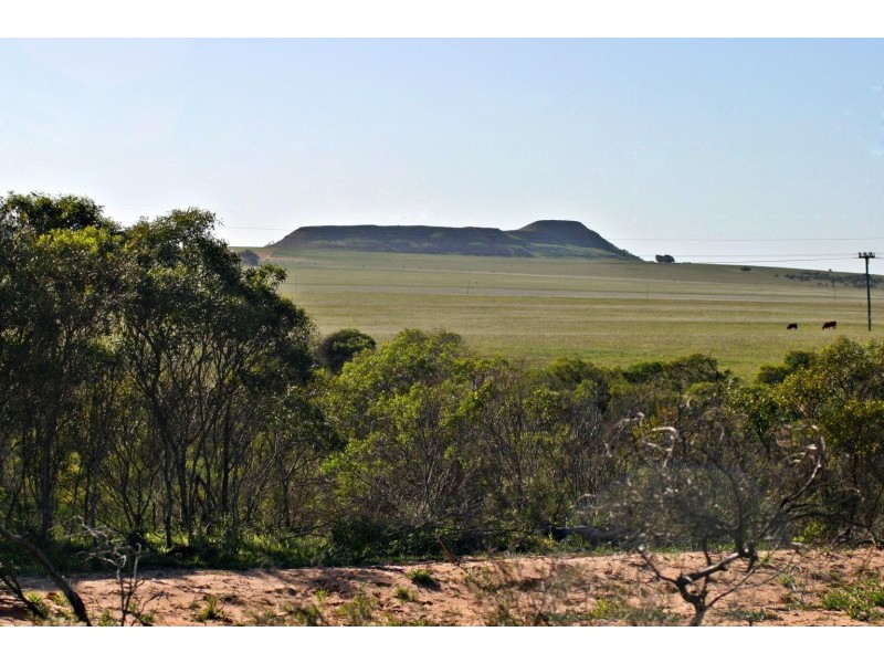 Lot 484 Myrtle Road, Strathalbyn WA 6530