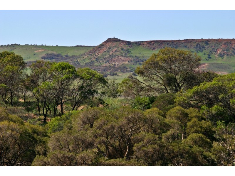 Lot 496 Strathalbyn Road, Strathalbyn WA 6530