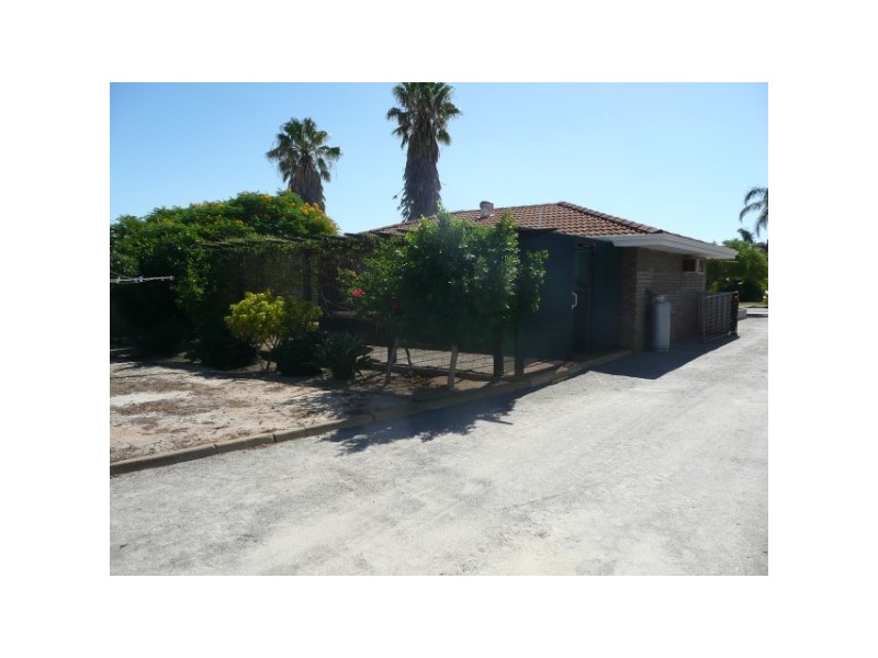 4 Pinyali Way, Waggrakine WA 6530