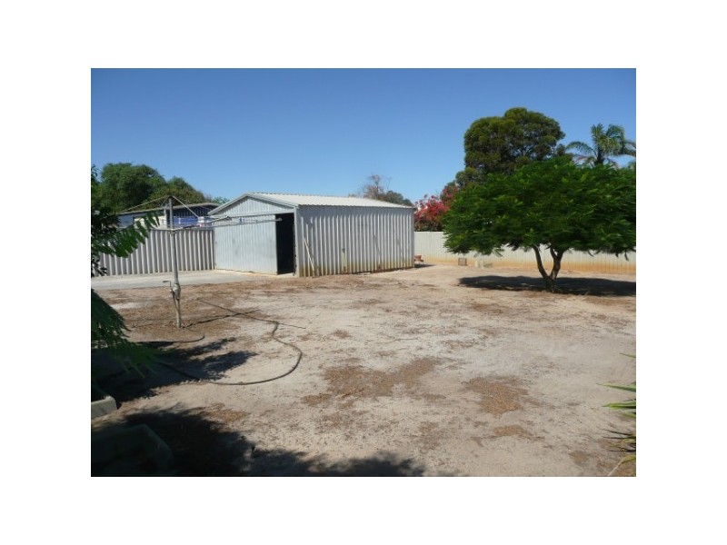 4 Pinyali Way, Waggrakine WA 6530