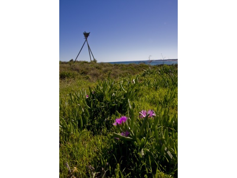 Drummond  Heights Estate, Drummond Cove WA 6532