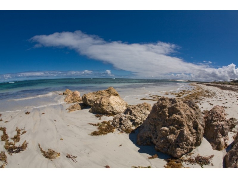 10 Wavecrest Circle, Drummond Cove WA 6532