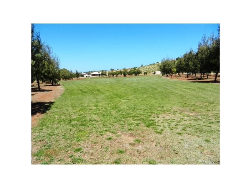 58 Stillwater Avenue, Drummond Cove WA 6532