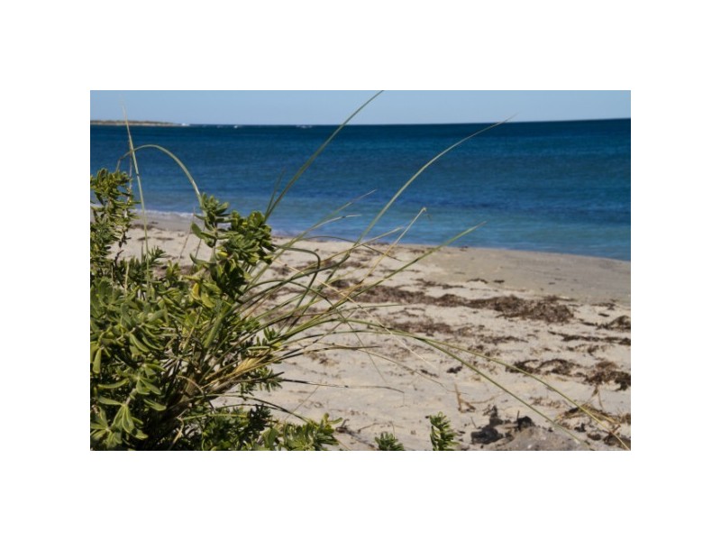 21 Periwinkle Street, Drummond Cove WA 6532