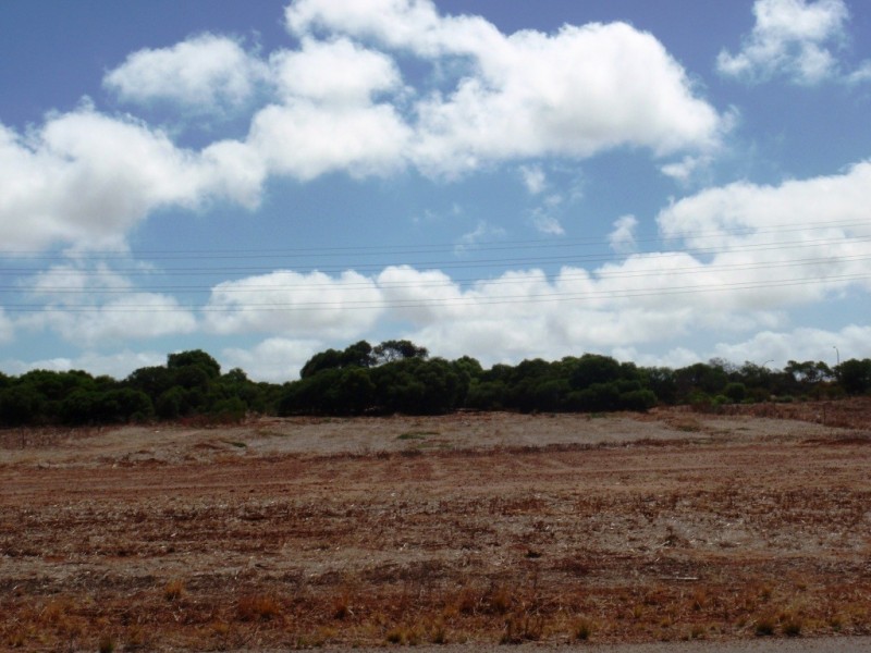 5 Rohnan Street, Utakarra WA 6530