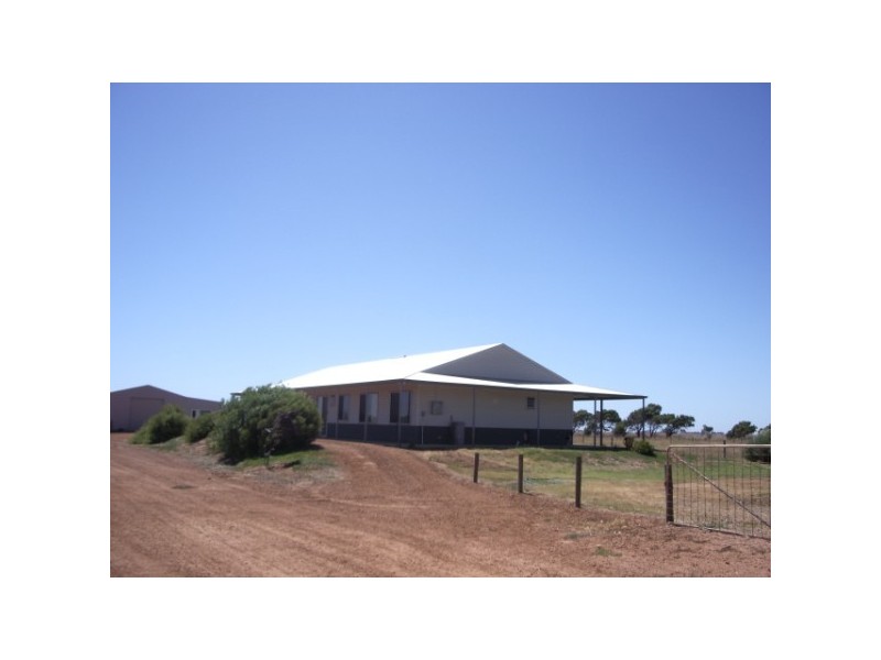 4 Meadow Lane, Walkaway WA 6528