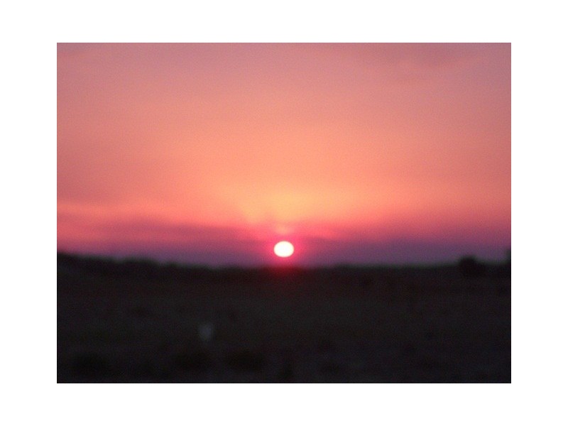 40 African Reef BVD, Greenough WA 6532