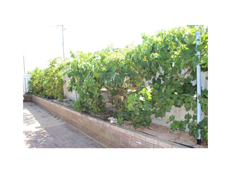 18 Brighton Close, Tarcoola Beach WA 6530