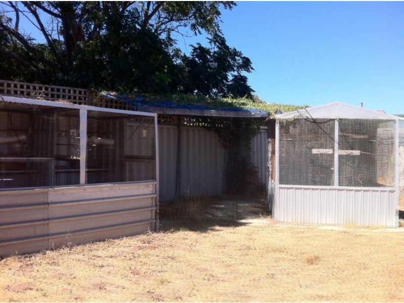 26 Diosma Street, Rangeway WA 6530