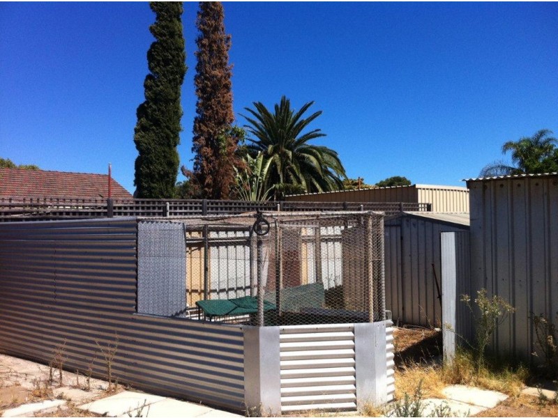 26 Diosma Street, Rangeway WA 6530