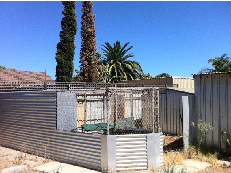 26 Diosma Street, Rangeway WA 6530