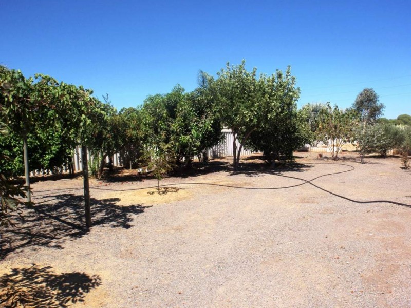 10 Waratah Court, Strathalbyn WA 6530