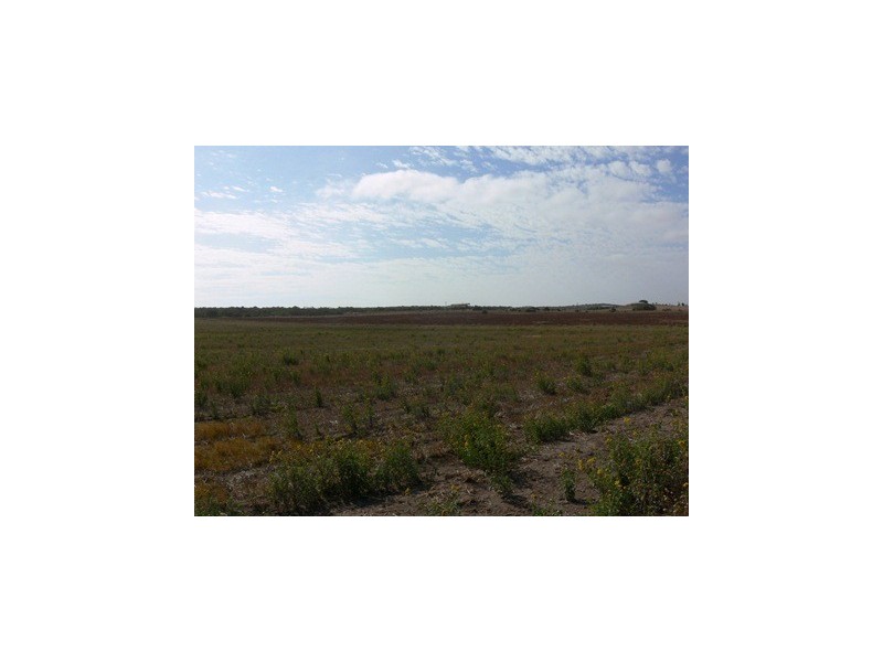 1055 McConkey Road, Greenough WA 6532