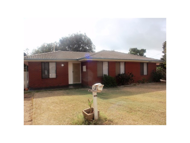 9 Craig Court, Spalding WA 6530