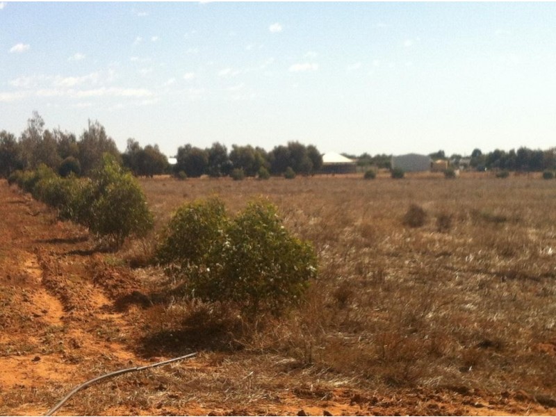 7 Lincoln Street, Deepdale WA 6532