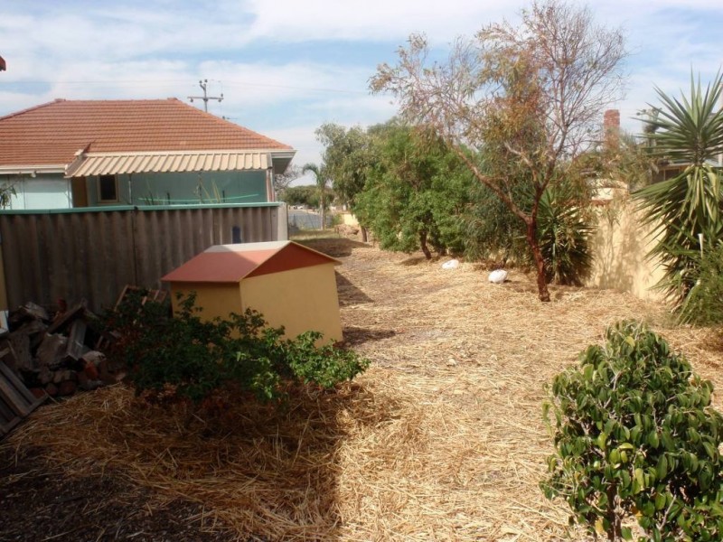 36 Crowther Street, Beachlands WA 6530