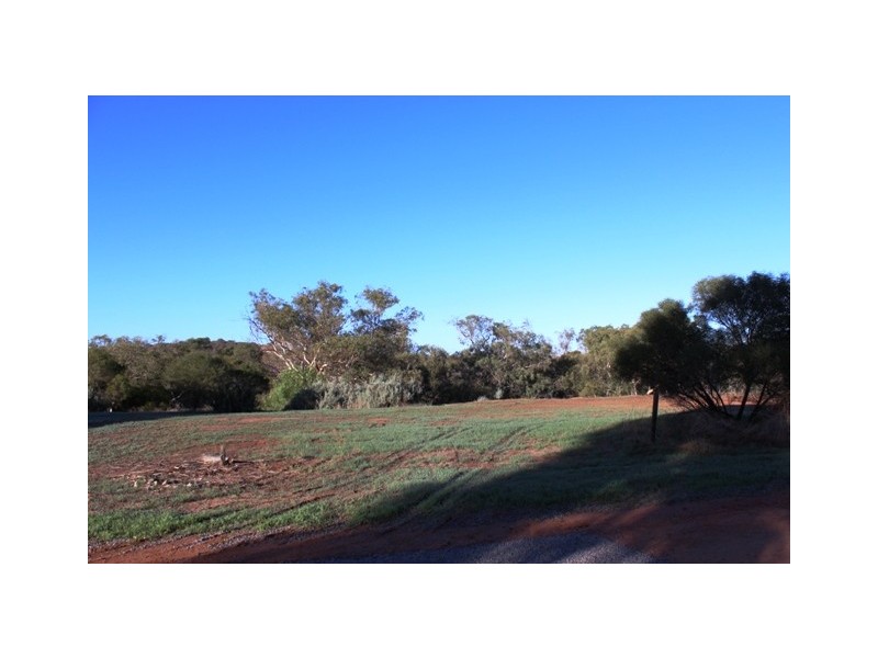 19 Eastough St, Nanson WA 6532