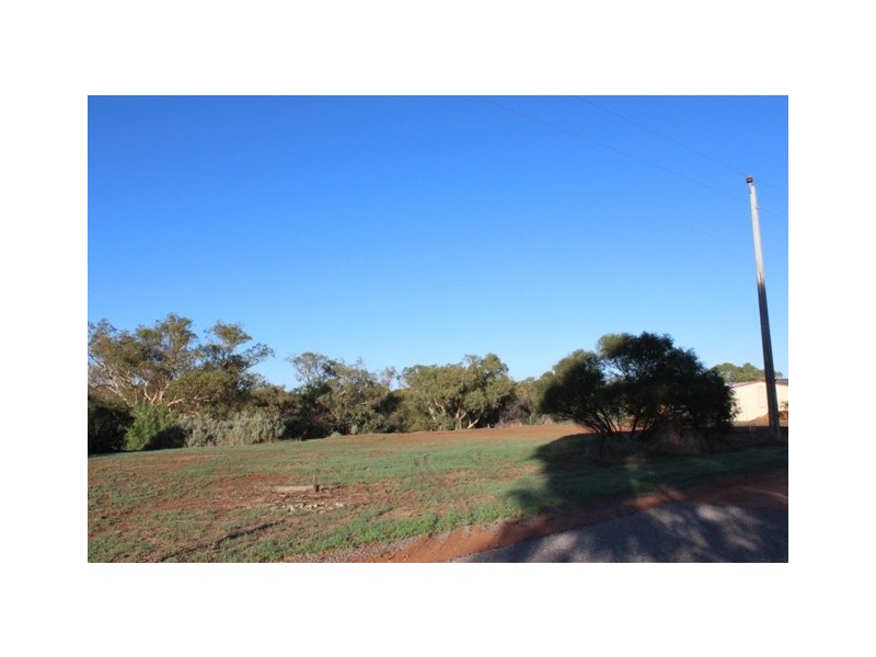 19 Eastough St, Nanson WA 6532