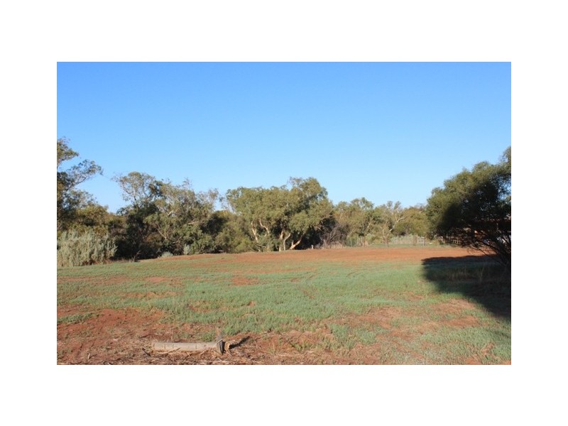 19 Eastough St, Nanson WA 6532