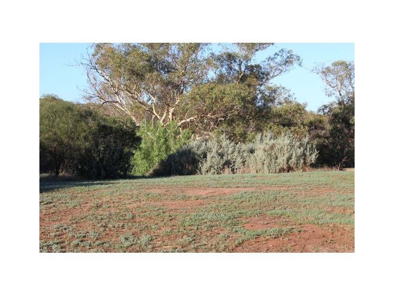 19 Eastough St, Nanson WA 6532