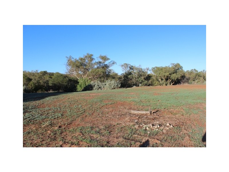 19 Eastough St, Nanson WA 6532