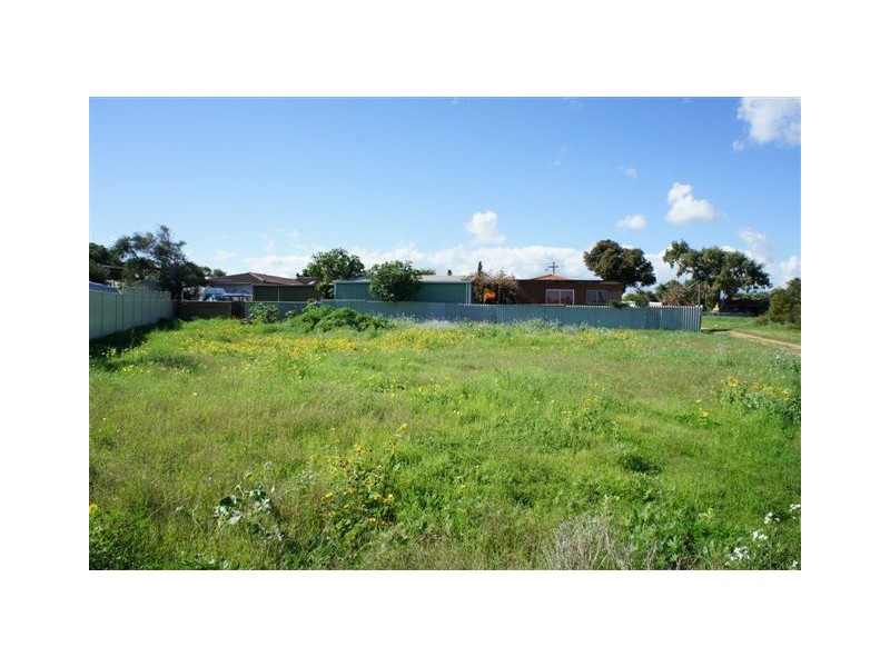 19 Callistemon, Utakarra WA 6530