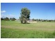 19 Callistemon, Utakarra WA 6530