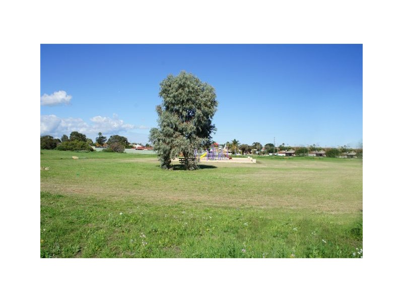 19 Callistemon, Utakarra WA 6530