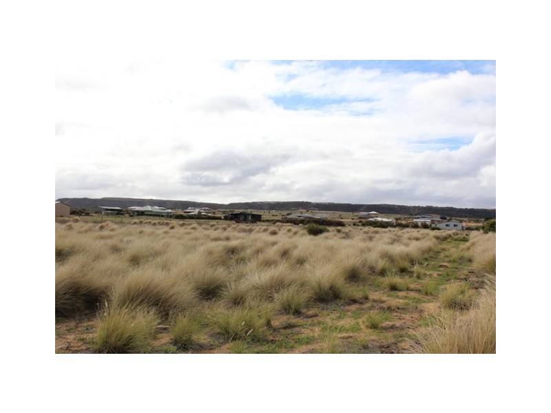 193 Wittenoom Circle, White Peak WA 6532