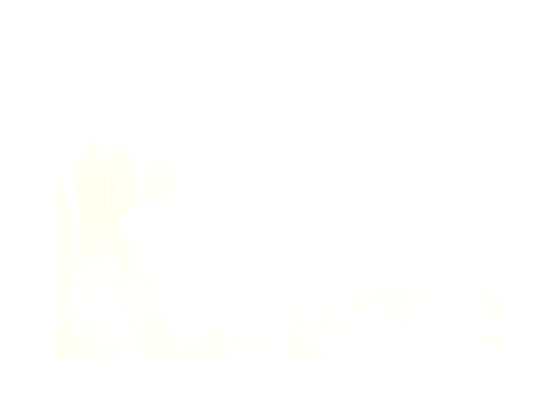 14 Hovea Street, Rangeway WA 6530