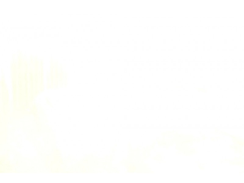 14 Hovea Street, Rangeway WA 6530