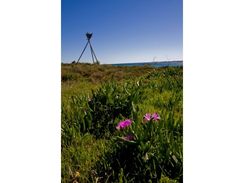 11 Swell Terrace, Glenfield WA 6532