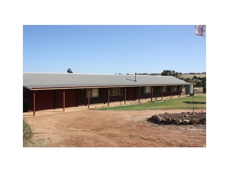 56 Calder Place, Waggrakine WA 6530