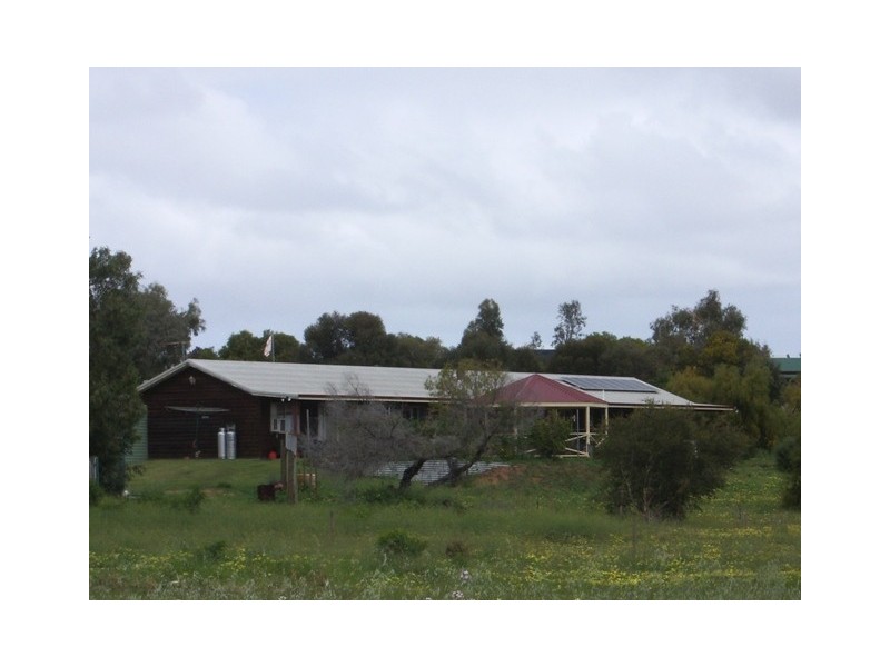 56 Calder Place, Waggrakine WA 6530