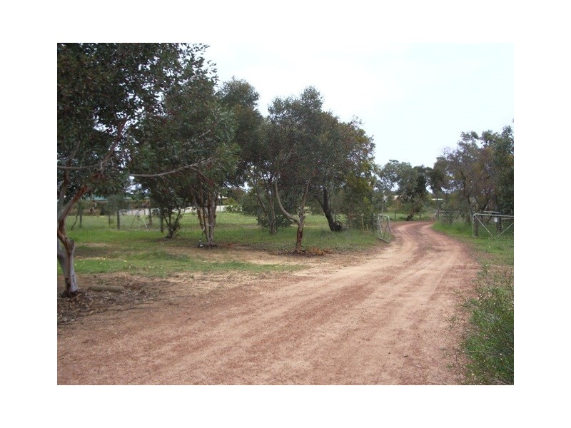 56 Calder Place, Waggrakine WA 6530