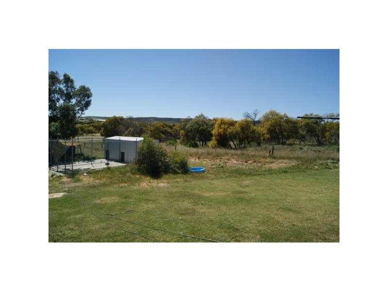 56 Calder Place, Waggrakine WA 6530