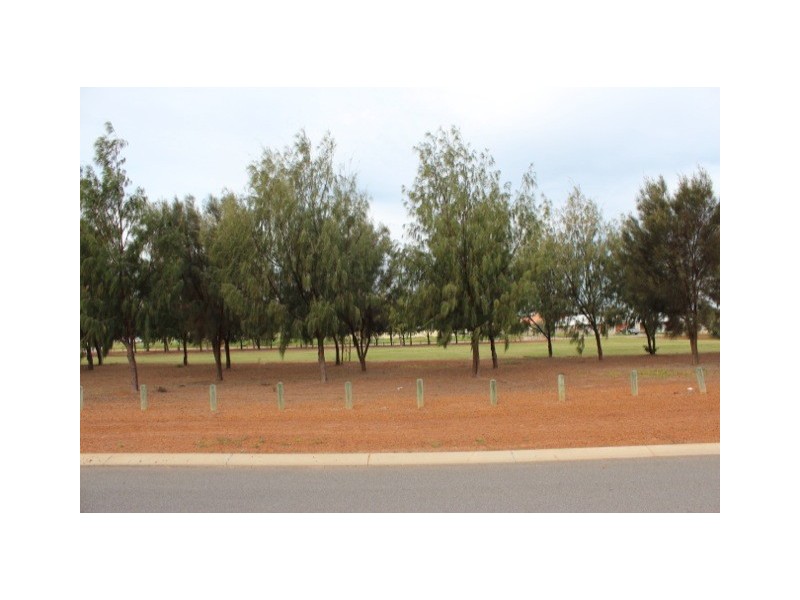 60 Stillwater Ave, Drummond Cove WA 6532