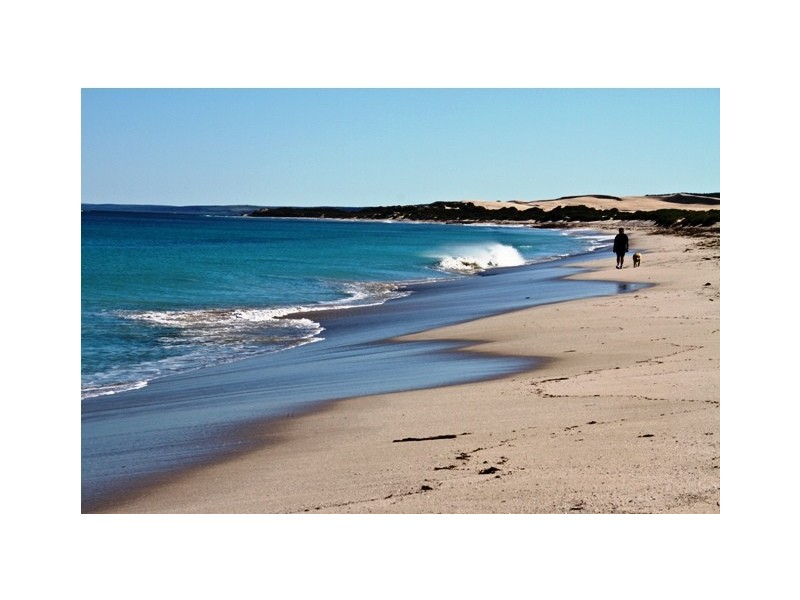 60 Stillwater Ave, Drummond Cove WA 6532