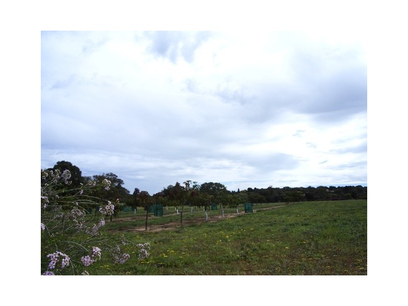 87 Blencowe Road, Utakarra WA 6530